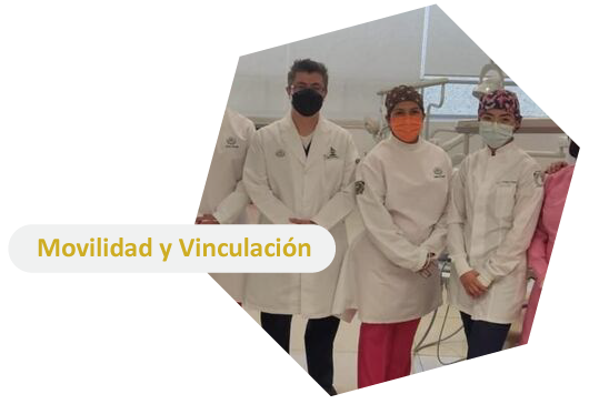 Movilidad y Vinculación
